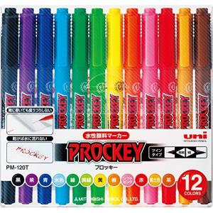 三菱鉛筆 水性ペン プロッキーツイン 極細 12色 PM120T12CN