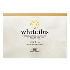 ホルベイン ホワイトアイビス水彩紙 ブロック 300g 中目 WIB-SM 271301の商品画像