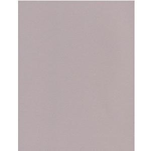 エスケント ケント紙 スターカラー A4 バーチグレイ 100枚 5724007