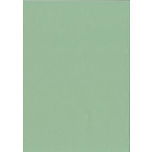 エスケント 色画用紙 スターウェーブ A4 クローバー 100枚 5007811