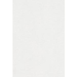 エスケント 色画用紙 八切 ミルク 100枚 215208