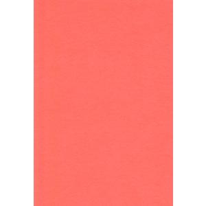 エスケント 色画用紙 八切 だいだい 100枚 221308