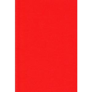 エスケント 色画用紙 八切 しゅいろ 100枚 223508