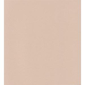 エスケント ケント紙 スターカラー 八切 スモークベージュ 100枚 5725008