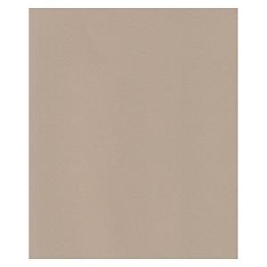 エスケント ケント紙 スターカラー 四切 プレイリーダスト 100枚 5726004