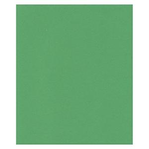 エスケント ケント紙 スターカラー 四切 グラスグリーン 100枚 5742004