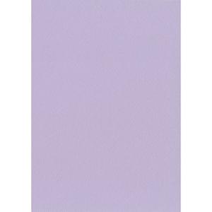 エスケント 色画用紙 スターウェーブ 八切 ビオラ 100枚 5008823