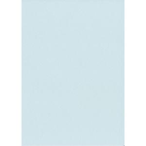 エスケント 色画用紙 スターウェーブ 八切 ライトジェイド 100枚 5008826