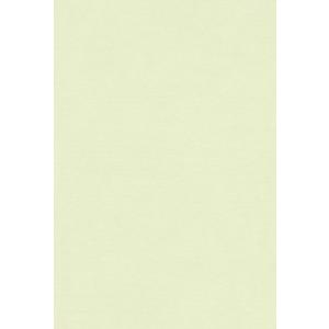 エスケント 色画用紙 A4 メロン 100枚 213306