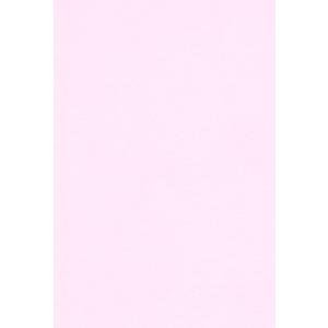 エスケント 色画用紙 A5 さくら 100枚 221850