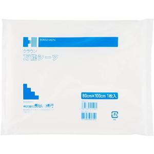 長谷川綿行 不織布シーツ 415905 万能シーツ 80×100cm