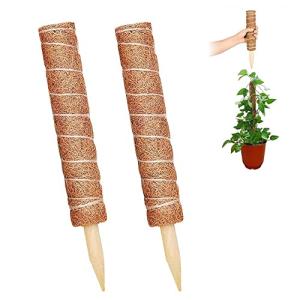 Yivoumi 植物支柱 園芸支柱 2本セット 園芸支柱パーツ 観葉支柱 ココナッツ支柱 ガーデニング用支柱 植物サポート フラワースタンド 花支え