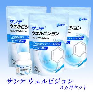 サンテ ウェルビジョン　３ヵ月セット　／サンテウェルビジョン　３ヵ月セット　参天製薬