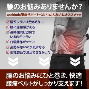 ぎっくり腰 ガッチリ固定 腰痛ベルト コルセッ...の詳細画像1