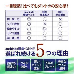 ぎっくり腰 ガッチリ固定 腰痛ベルト コルセッ...の詳細画像2