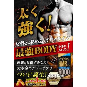 STRONG HMB HYPERPROJECT...の詳細画像2