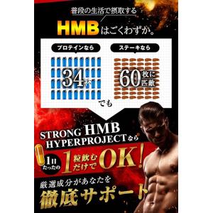 STRONG HMB HYPERPROJECT...の詳細画像4