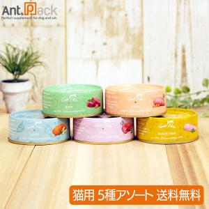森乳サンワールド 森乳 チューブダイエット 猫用 キドナ 腎疾患用 20g