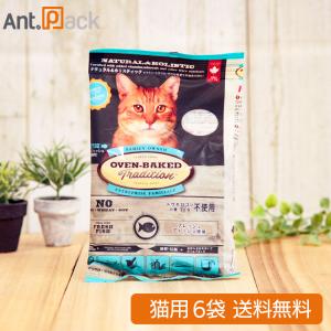 森乳サンワールド 森乳 チューブダイエット 猫用 キドナ 腎疾患用 20g