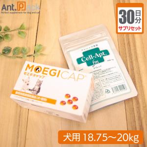 APPE（アペ） 高嗜好性栄養補給 犬猫用 40g×10袋（小分け） : Ant.Pack