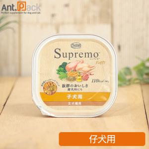 シュプレモ ニュートロ 子犬用 トレイ 100g×6個 （送料無料