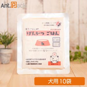 漢方ごはん改めげんかつごはんドライタイプ1000g【木】鶏肉2袋と
