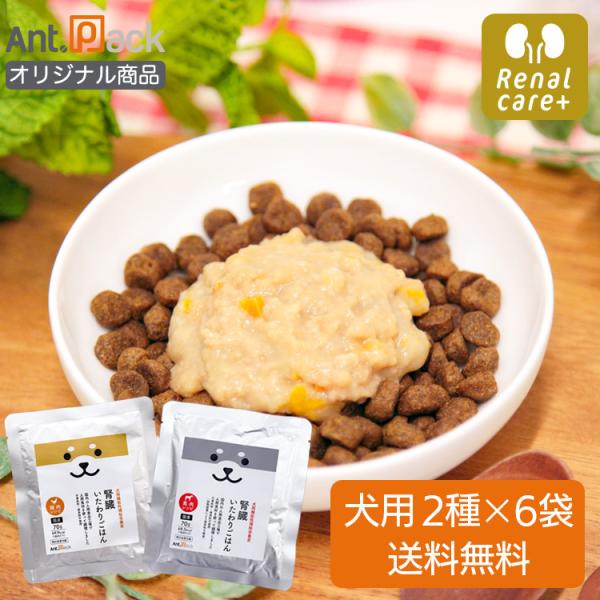 腎臓いたわりごはん 鶏肉・馬肉 犬用 70g×各6袋セット（送料無料） （50556）