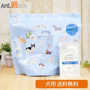 （ペット用涙やけ清浄シート） 涙やけとるワン 犬用 60包（1包2枚入り)（90119）｜ant-pack