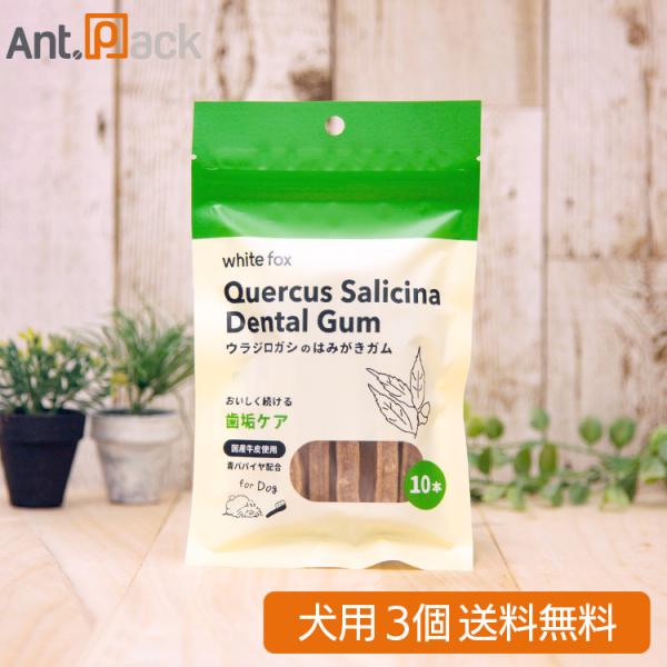 ホワイトフォックス ウラジロガシのはみがきガム 犬用 10本入×3個（72544）