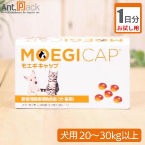 あすつく】【2個セット】【モエギキャップ 100粒（10粒×10シート）×2