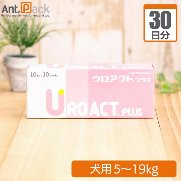 ウロアクトプラス 犬用 体重5kg〜19kg 1日2粒30日分