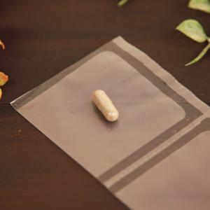 (お試し1日分) プロアントゾン20mg (中...の詳細画像2