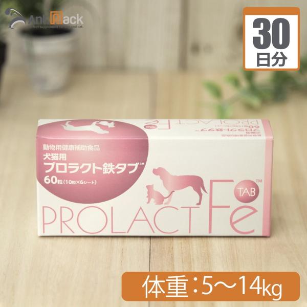 プロラクト鉄タブ 犬用 体重5kg〜14kg 1日2粒30日分