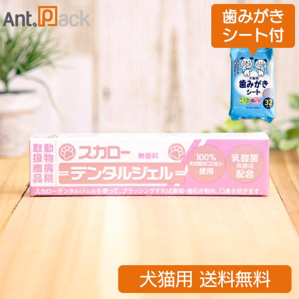 （歯みがきシートおまけ付）山一化学 スカロー デンタルジェル 無香料 犬猫用 40g