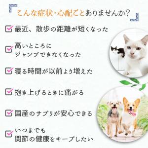 (お試し1日分) グルコサミン350 犬猫用 ...の詳細画像4