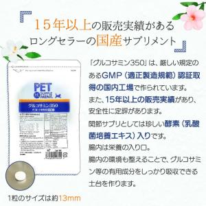 (お試し1日分) グルコサミン350 犬猫用 ...の詳細画像5