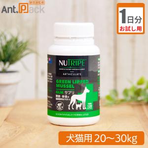 日本全薬 【あすつく】【要冷蔵：クール便】【アゾディル (90