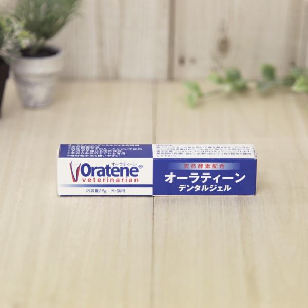 PKBジャパン オーラティーン デンタルジェル 28g ［ネコポス発送］10個まで(01008)