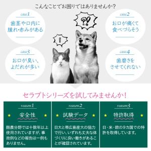 (お試し1日分) セラプトfm(パウダー) 犬...の詳細画像4
