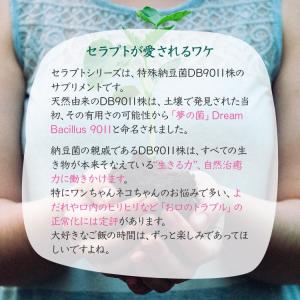 (お試し1日分) セラプトfm(パウダー) 犬...の詳細画像5