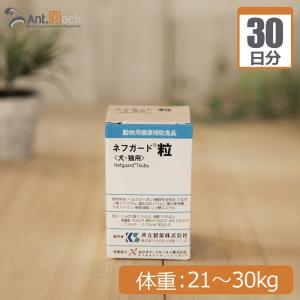 ネフガード 粒 ( 12g )/ 共立製薬 : 爽快ドラッグ - 通販 - Yahoo