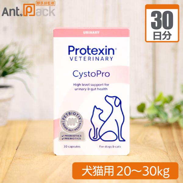 ミネルヴァ シストプロ 犬猫用 体重20kg〜30kg 1日 2カプセル 30日分