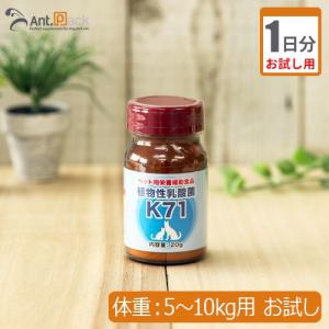 （お試し1日分） 植物性乳酸菌 K-71 犬猫用 体重5kg〜10kg用 0.5g 1日分