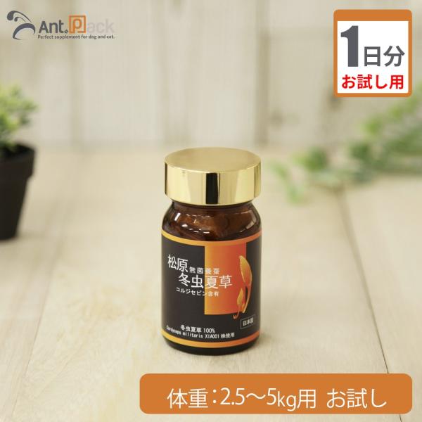 （お試し1日分） 松原 無菌養蚕 冬虫夏草 犬猫用 体重2.5kg〜5kg用 0.1g 1日分