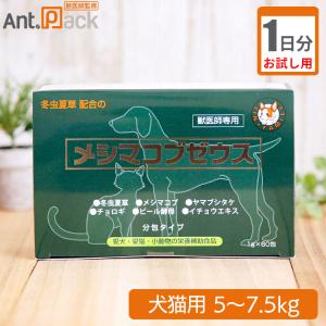 日本全薬 ジルケーン 75mg 犬猫用 体重1kg〜5kg 1日1カプセル30日分