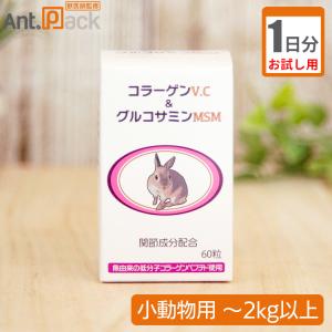 （お試し1日分）うさぎの関節にコラーゲンV.C＆グルコサミンMSM 小動物用 体重2kg以上 1日1粒
