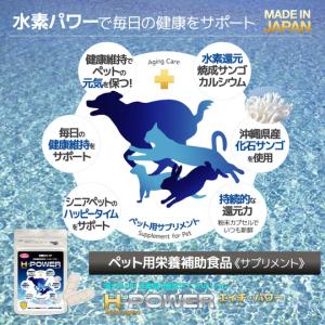(お試し1日分) 食べるマイナス水素イオン H...の詳細画像3