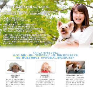 (お試し1日分) 食べるマイナス水素イオン H...の詳細画像4