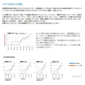 (お試し1日分) 食べるマイナス水素イオン H...の詳細画像5