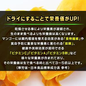 ドライマンゴー スライス プレミアム 着色料 ...の詳細画像2